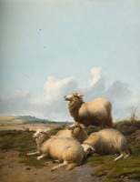 Four Sheep
