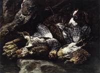 Still Life:  Dead Game and a Hunting Dog