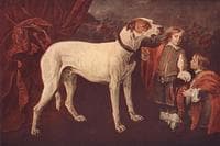 Dog, Dwarf and Boy