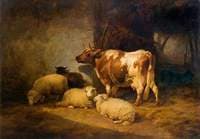 A Cow and Sheep