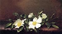 Cherokee Roses on a Purple Cloth