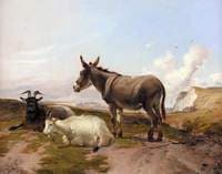 On the Downs