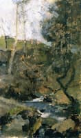 Stream in the Vienna woods