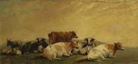 Cattle