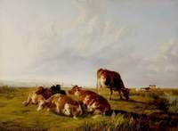 Afternoon in the Meadows