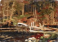 Old Lumber Dam, Algonquin Park