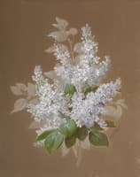 Lilacs
