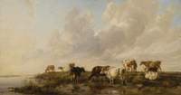 Canterbury Meadows, Kent