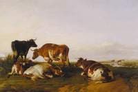 Landscape and Cattle