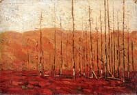 Autumn, Algonquin Park