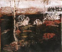 Hoar Frost