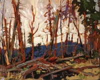 Burnt Country, Evening
