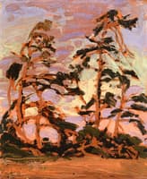 Evening, Pine Island