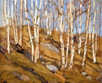 Northern Spring
