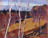 Moonlight, Algonquin Park