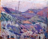 Fire-Swept Hills