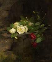 Red and White Roses