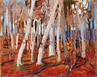 Maple Woods, Bare Trunks