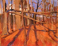 Forest, October