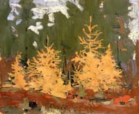 Tamarack