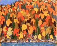 Autumn Foliage
