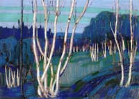 Silver Birches
