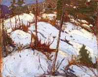 Winter Hillside, Algonquin Park