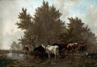 Cattle in a Stream