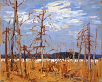 Tamarack Swamp