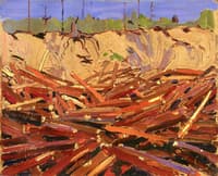 Sandbank with Logs