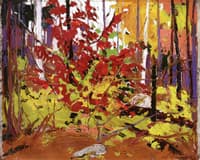 Red Sumac