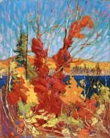 Autumn Foliage