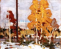 Near Grand Lake, Algonquin Park