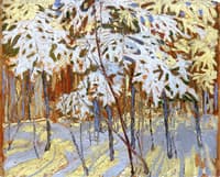 Snow-Covered Trees