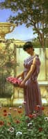 The Flowers of Venus