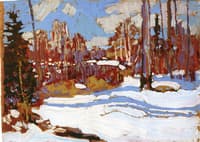 Woods in Winter