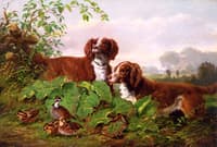 Two Setters and Quail
