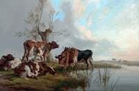 Cattle by a Stream