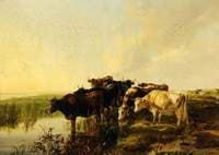 In the Whitehall Meadows, Canterbury, Kent