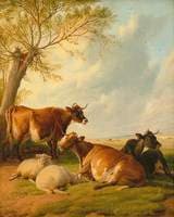 Cattle and Sheep
