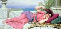 Noonday Rest