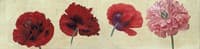 Poppies