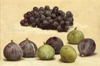 Still Life of Grapes and Figs