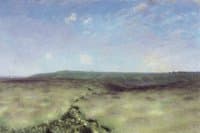 The Field