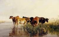 Landscape with Cows
