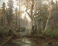 Autumn Morning
