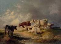 Cattle