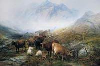 Through the Glen in a Mist