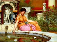 A Lily Pond