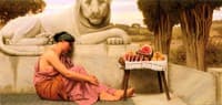 The Fruit Vendor